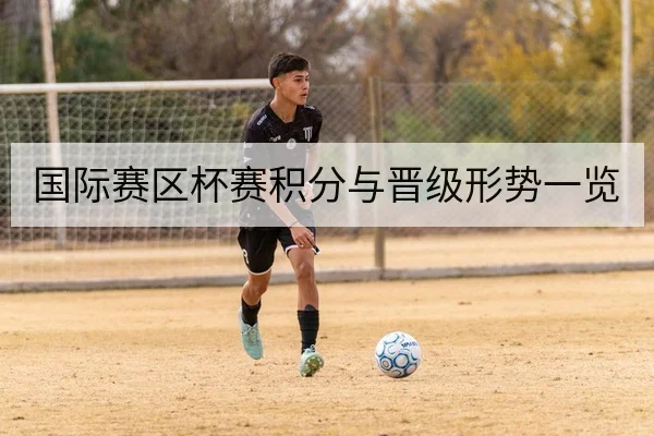 国际赛区杯赛积分与晋级形势一览